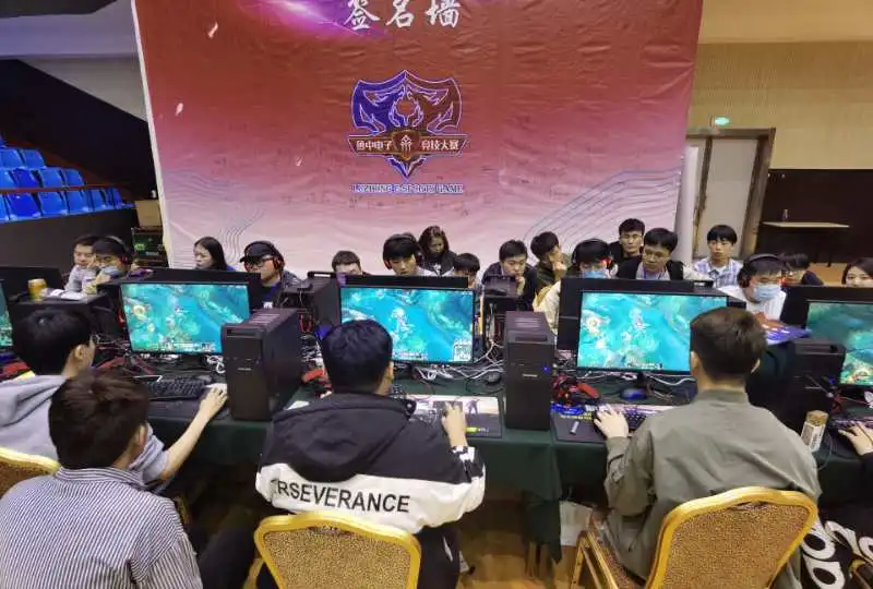 2年桑巴金 2年桑巴金