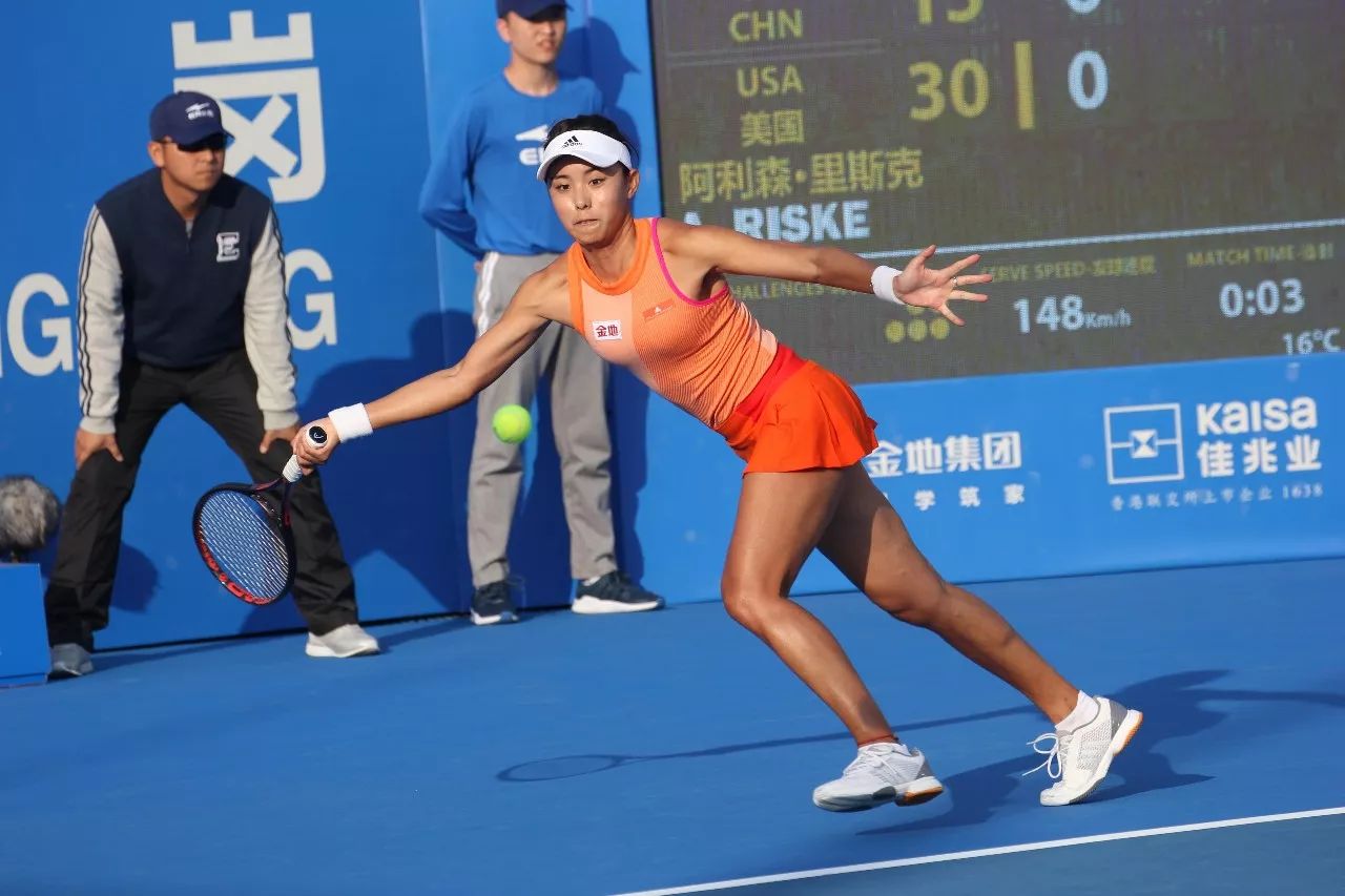 力的背书 力的背书