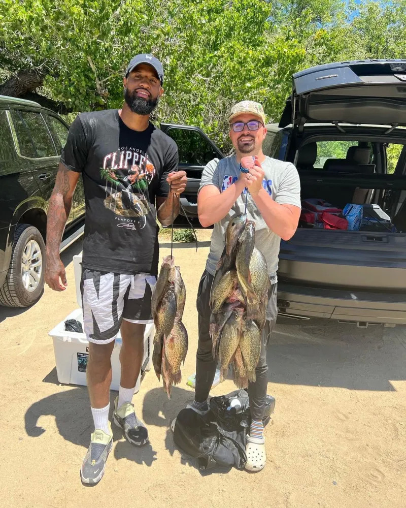 跳与对抗 跳与对抗